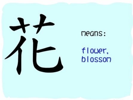 花呗遇到不明支出怎么办？