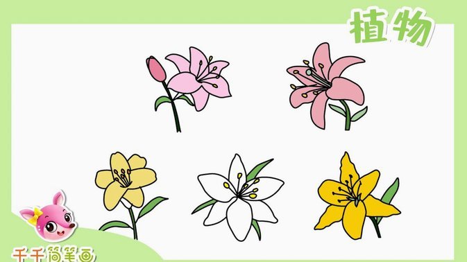花呗有不明支出怎么办