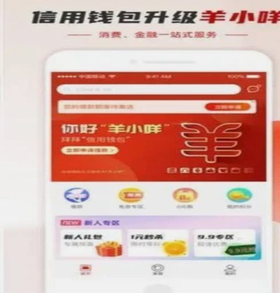 羊小咩套现秒到安全？风险揭秘