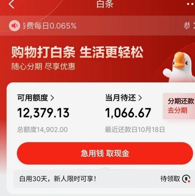 广州京东白条提现实体店