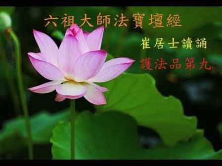 海鸥花呗：新零售信用支付新探索