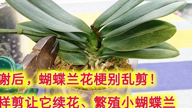 如何摆脱花呗带来的过度消费