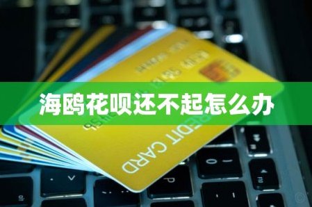 海鸥花呗背后的金融生态链是什么？