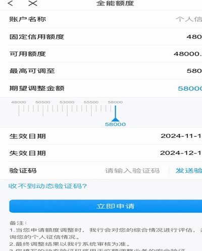 2025白条临期额度：信用消费的新变化与规划