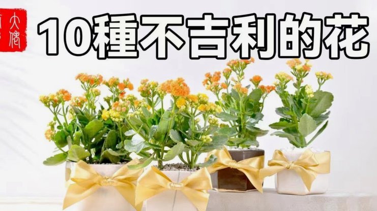 套花呗的平台大揭秘