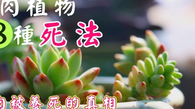 用花呗套现可靠吗安全吗？