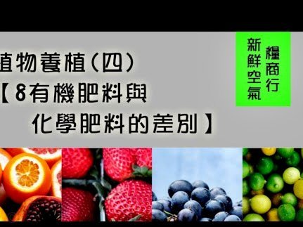 佳物分期购物后如何变现技巧