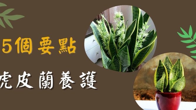 套现花呗平台安全吗？知乎