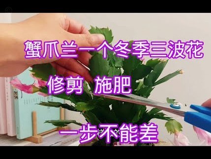 花呗套现手续费揭秘：现金成本如何算