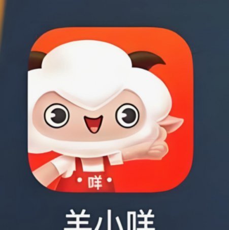 羊小咩订单取消指南：带你详解不同阶段的退款规则