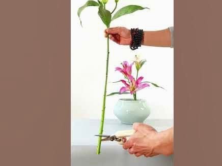花呗现在还能正常使用吗