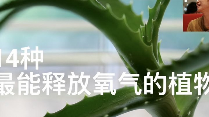 如何轻松使用得物分期购物佳品