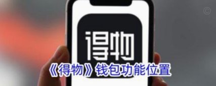 得物额度怎么查：快速查看与使用技巧
