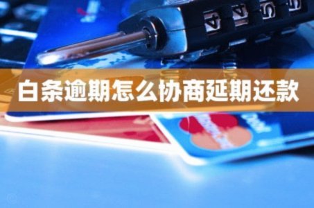 白条逾期怎么协商延期 出来的钱