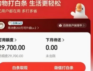 白条额度怎样套现