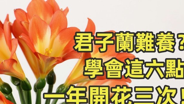 花呗秒套平台安全吗？使用需谨慎