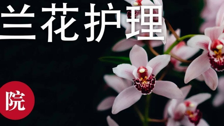 套现花呗的手续费 套现合法吗