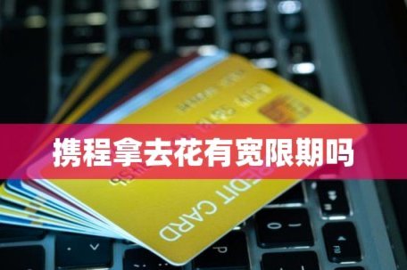 携程拿去花怎么提前还款