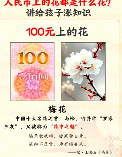 拿去花能提现吗？揭秘消费分期与取现真相