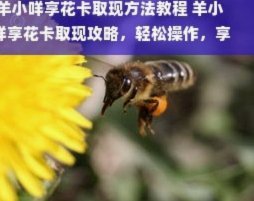 拿去花取现未成功多久恢复