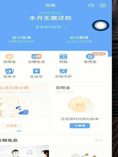 花呗：轻松支付，无忧借！