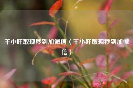 羊小咩取现商家秒到账流程详解