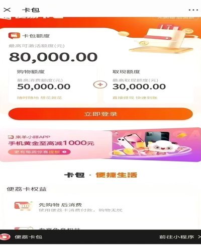 巧用羊小咩6000购物额度技巧指南