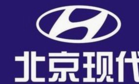 鹿的商业密码：生态价值到文化IP的变现之路