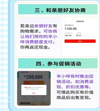 羊小咩额度从哪看