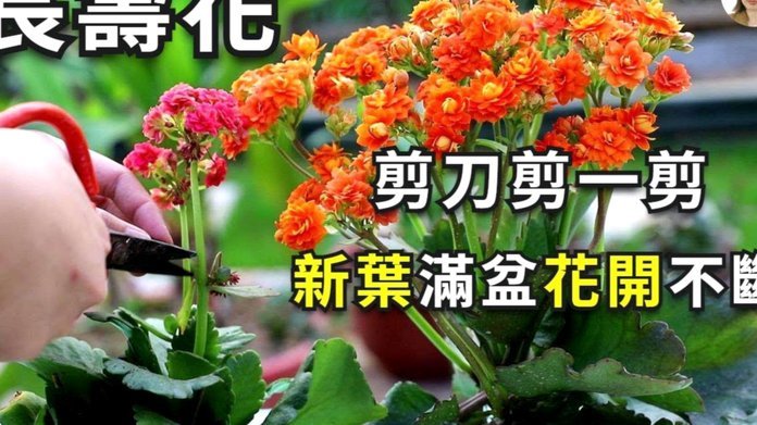 花呗额度怎么高效使用