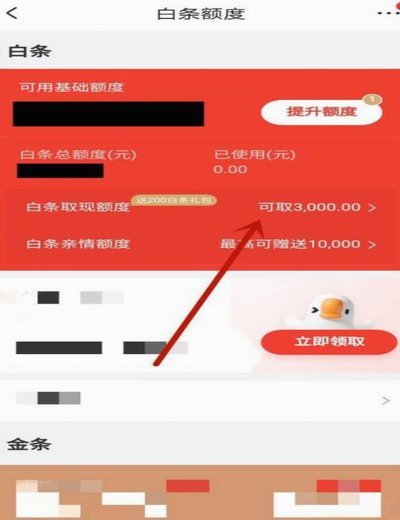 白条套用风险，揭秘其背后的隐患