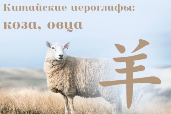 羊小咩购物额度逾期上征信吗