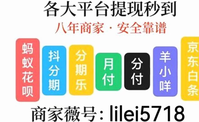 白条临时额度有效期至28日什么意思