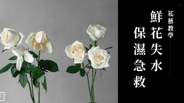 花呗怎么能免息