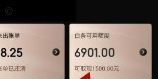 白条额度套出来秒到