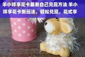 羊小咩怎么使用
