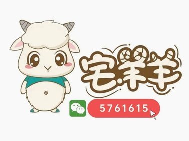 羊小咩：300额度的金融新体验