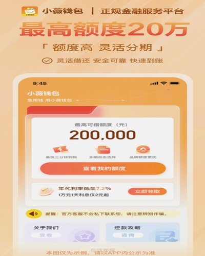 拍拍借钱小额贷款