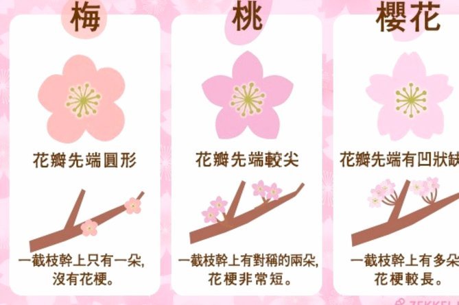 花呗套现的真相