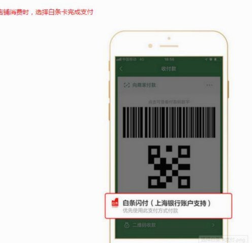 京东白条支付生态覆盖多领域