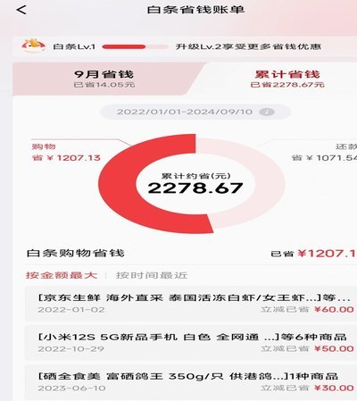 京东白条新增取现功能便捷融资新选择