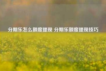 分期乐额度0怎么提上去