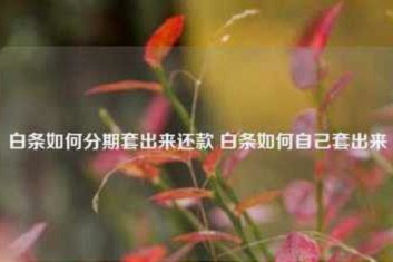 找靠谱的“白条”服务店铺哪里寻